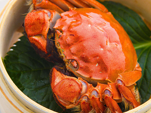 大闸蟹